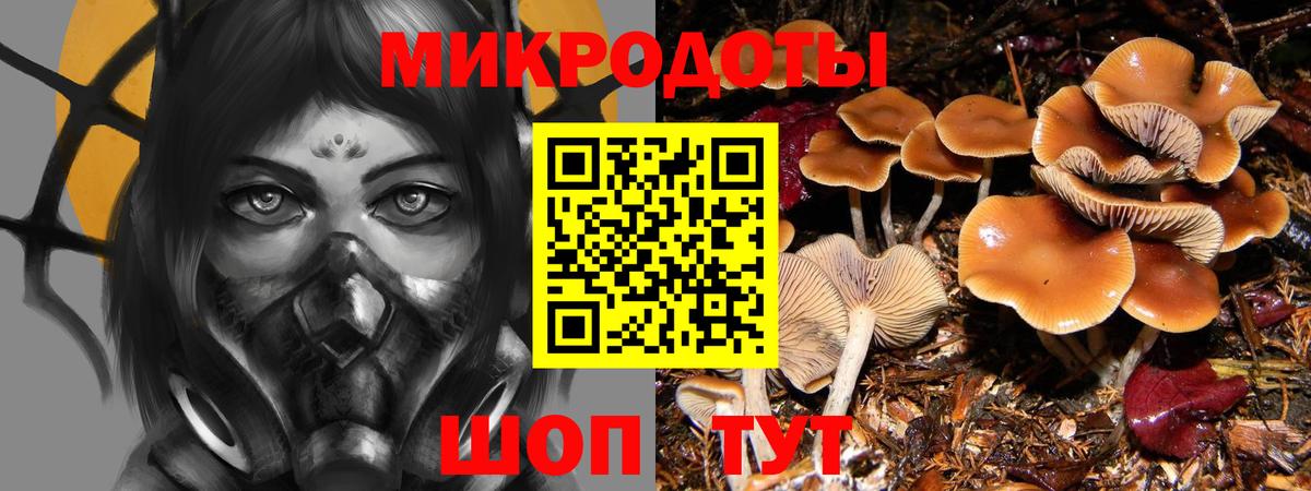 Анжеро-Судженск  Галлюциногенные грибы Cubensis  закладки  Вход с VPN 