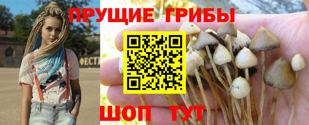 Псилоцибиновые грибы ЛСД Анжеро-Судженск